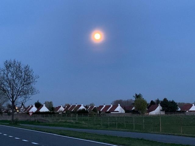 Duinendaele 232 Met Sauna Bij Plopsaland En Natuurreservaat La Panne Extérieur photo
